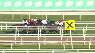 Randwick Race 6 260820 [upl. by Brout]