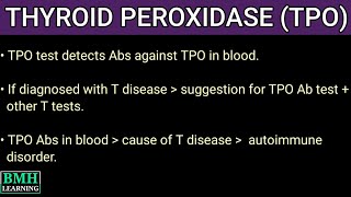 Thyroid Peroxidase  TPO  Anti TPO Antibodies  Thyroid Antibodies [upl. by Oirramaj674]