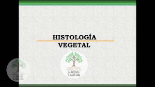 Histología vegetal reeditado [upl. by Viviene]