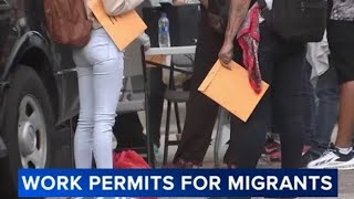 Chicago giving out work permits for migrants [upl. by Nolra]