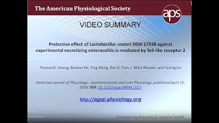 Effect of Lactobacillus reuteri is mediated by TLR2 – Hoang et al 2018 [upl. by Iak]