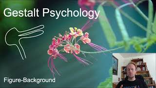 MerleauPonty Phenomenology of Nature Key Concepts part 6 gestalt psychology [upl. by Buxton]