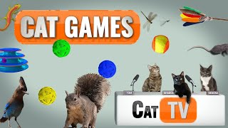 Cat Games  Ultimate Cat TV Compilation Vol 3  🐱 [upl. by Marlen]