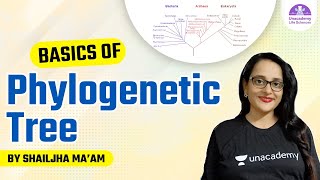 Basics of Phylogenetic Tree  CSIR Life Science by Shailjha Maam [upl. by Odnama17]