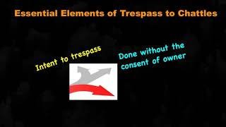 Meaning of Trespass to Chattels in Tort Law [upl. by Irab35]