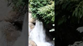 Neelkanth Road kalikund waterfall [upl. by Aisetra]