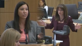 Testy Exchange Between Janeen DeMarte amp Jennifer Willmott on Whether Jodi Arias Was Abused [upl. by Mahmud828]