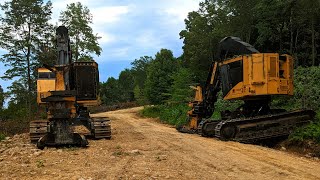 Tigercat LX830E amp LX830C A years worth of logging for Metzler Forest Products [upl. by Naesed]