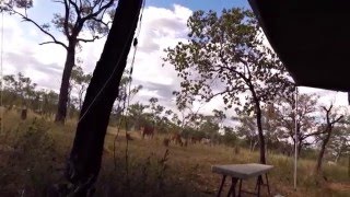 Gold prospecting Dells Hole Queensland Australia [upl. by Rohpotsirhc]