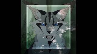 Ivypool edit ib  Zuriedits  warriorcatsedit ivypool [upl. by Meta]