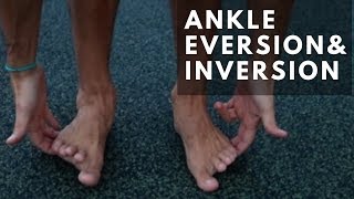 Ankle Range of Motion Exercises Ankle Inversion and Eversion [upl. by Simonette]