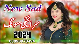 New Saraiki Song 2024  Saraiki All Singer Songs 2024 [upl. by Orenid]