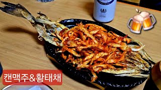 캔맥주 amp 황태채  카이저돔 필스너 에델마이스터 필스너 [upl. by Branham]