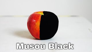 Musou Black—The New Worlds Blackest Paint Turns Anything Into A Shadow [upl. by Anileda]