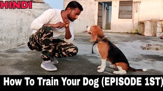 Beagle Dog Training Series  Episode 1st  All Dog Training Basics Tips amp Tricks [upl. by Christmas]