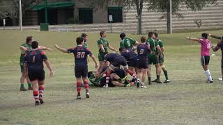 FAU Rugby Scoring Highlights vs USF  FCC 15s 1262019 [upl. by Georg]