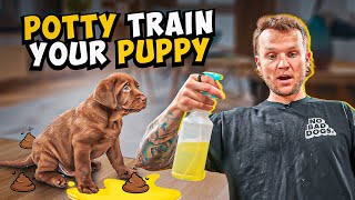 Puppy Training  How To Potty Train A PUPPY In 5 Minutes [upl. by Lyndsay]