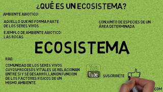 ¿Qué Es Un Ecosistema 🥇  LAS RESPUESTAS A TUS PREGUNTAS [upl. by Reifinnej]