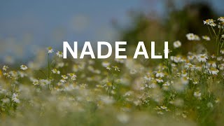 NADE ALI BEAUTIFUL RECITATION FOR ALL PROBLEMS YA ALI ADRIKNI [upl. by Pump]