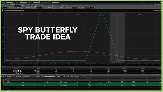 Put Call Ratio Warning Update  SPY Butterfly Trade Idea [upl. by Margarida]