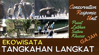 EkoWisata Pusat Pelatihan Satwa Khusus Gajah Tangkahan Langkat [upl. by Ohaus]