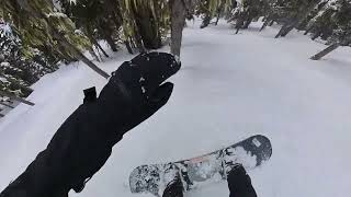 20240327BlackcombSnowboarding Glades Skiers Right of Overbite x Davies Dervish [upl. by Naivat]