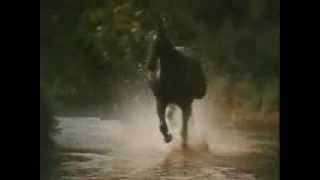 Black Beauty Theme Galloping Home  Denis King 1972 [upl. by Lapo]