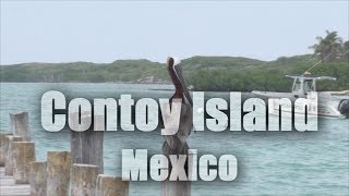 Contoy Island Isla Contoy Mexico HD [upl. by Graces236]