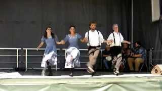 The Wild Goosechase Cloggers MN State Fair Heritage Stage Aug 27 2010 2 [upl. by Noella]