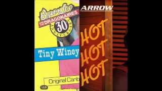 CALYPSO MIX  ARROW AND BYRON LEE  HOT HOT HOTTINEY WINEY [upl. by Tobie]