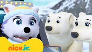 The Pups Save a Polar Bear Cub ❄️  PAW Patrol  Nick Jr UK [upl. by Feinstein947]