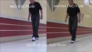 Dictus Original2 [upl. by Sweatt215]