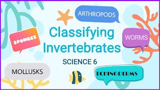 Science 6 Quarter 2 Classification of Invertebrates [upl. by Narbig]