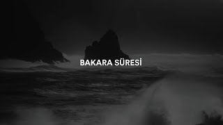 Bakara süresi 285286 ayet Bilal Darbali qurantilavetii [upl. by Zadoc]