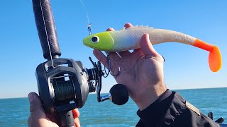 Musky Fishing Lake St Clair with GIANT Rubber Baits [upl. by Yrojram]