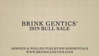 Brink Genetics 2019 Fleckvieh Simmental Bull Sale Pt 1 Lots F800F843 [upl. by Eelynnhoj]