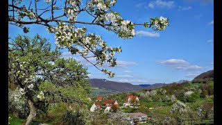 Frühling im Freilichtmuseum Beuren  Das Leben auf dem Land wie es einmal war [upl. by Harbed]