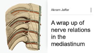 A wrap up of nerve relations in the mediastinum [upl. by Baillieu216]