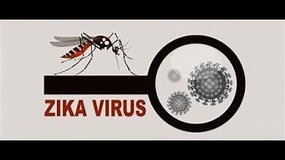 Stay Safe from Zika Virus Essential Precautions [upl. by Vachill]