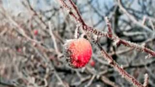 Apples in Winter [upl. by Adamek]