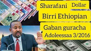 Sharafani Gaban guracha Ethiopian banik oromo [upl. by Berti]