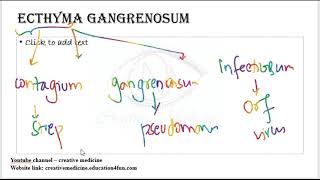 3 11 ecthyma gangrenosum mp4  Dermatology [upl. by Lowney]