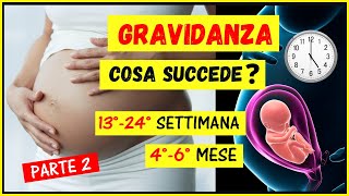 Gravidanzacosa succede settimana per settimana mese per mese Cambiamenti 1324 settimana46 mese [upl. by Nileak]