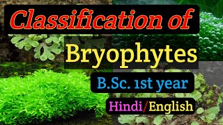 Classification of Bryophytesब्रायोफाइटा का वर्गीकरणMGKVP BSc 1st year BotanyBSC first year botany [upl. by Akym]