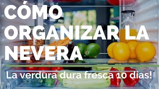 ORGANIZA LA NEVERA CORRECTAMENTE ✅ Consejos [upl. by Lrac930]