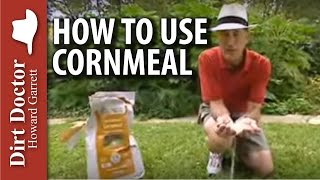 How To Use Cornmeal  The Dirt Doctor [upl. by Dorcas]