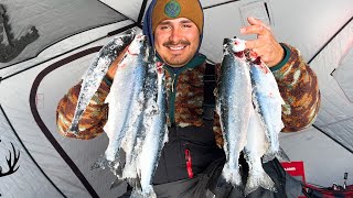 11 MILE ICE FISHING FOR KOKANEE SALMON [upl. by Adnalahs780]