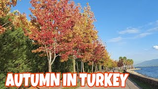 59  AUTUMN IN TURKEY  Musim Gugur di Turki  Seka Park Walk 16 October 2021 [upl. by Verine255]