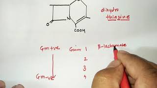 CEPHALOSPORINS WITH TRICKS  BLACTUM ANTIBIOTICS2  RRB PHARMACIST EXAM  GPAT  ESIC  PART46 [upl. by Akeemaj558]