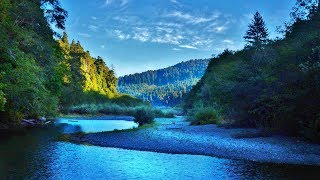 Humboldt County  Redwood Creek Hike [upl. by Harold]